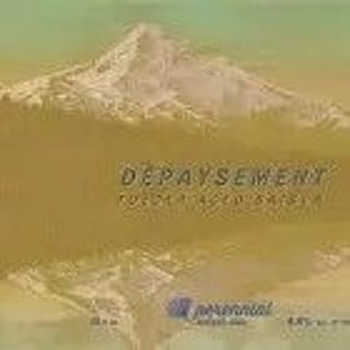 Depaysement, Saison, 12oz Can. Perennial